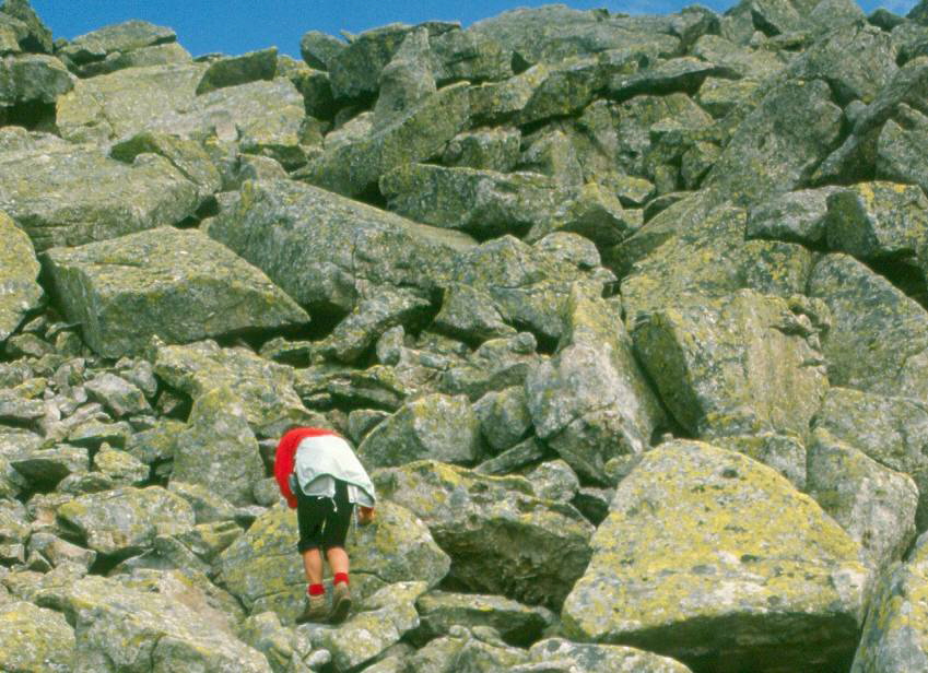 662 Berg hinter Bergen 02