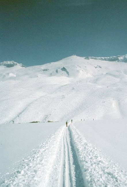 06 Ski Engstligen Loipe bearb