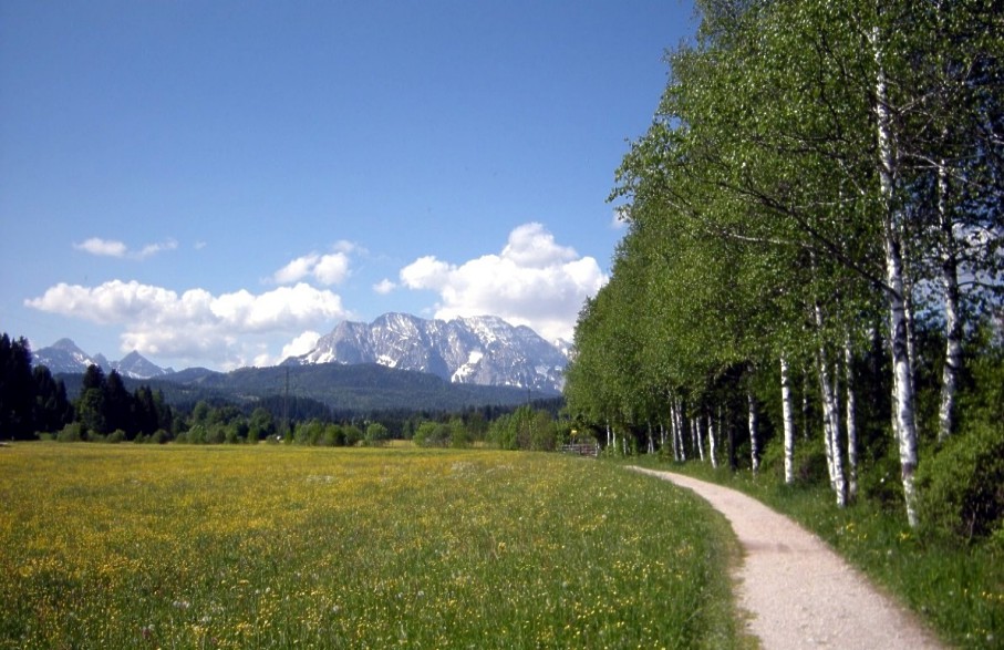 08 Wetterstein u Wiese02