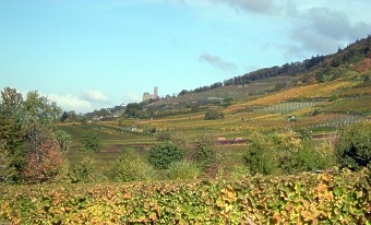 36 Schriesheim Strahlenburg 112012 003