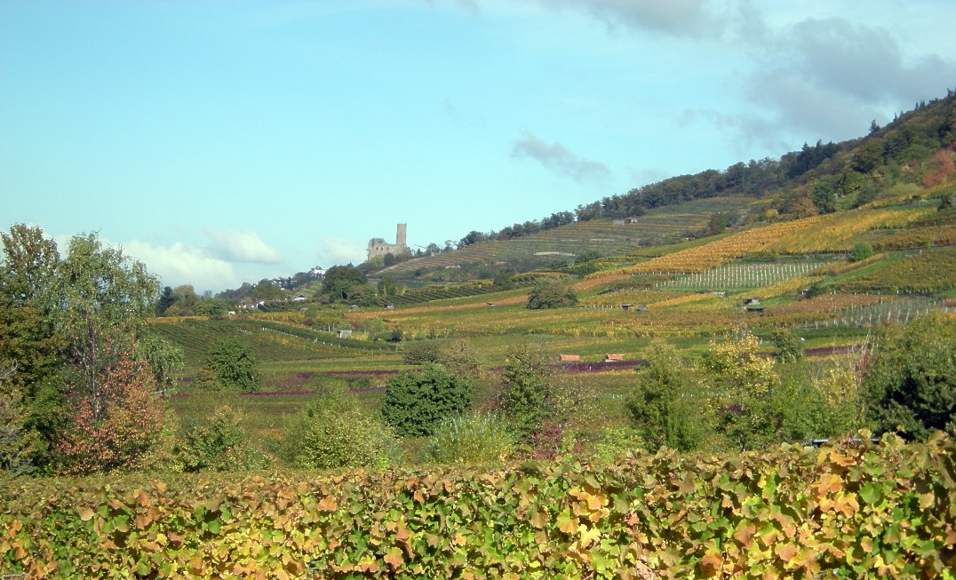 Schriesheim Strahlenburg 112012 003