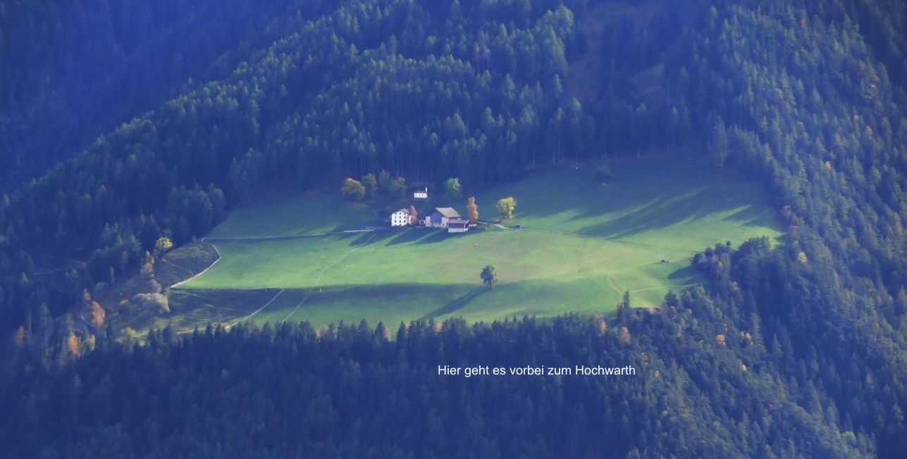 07 Alm ueber der Etsch