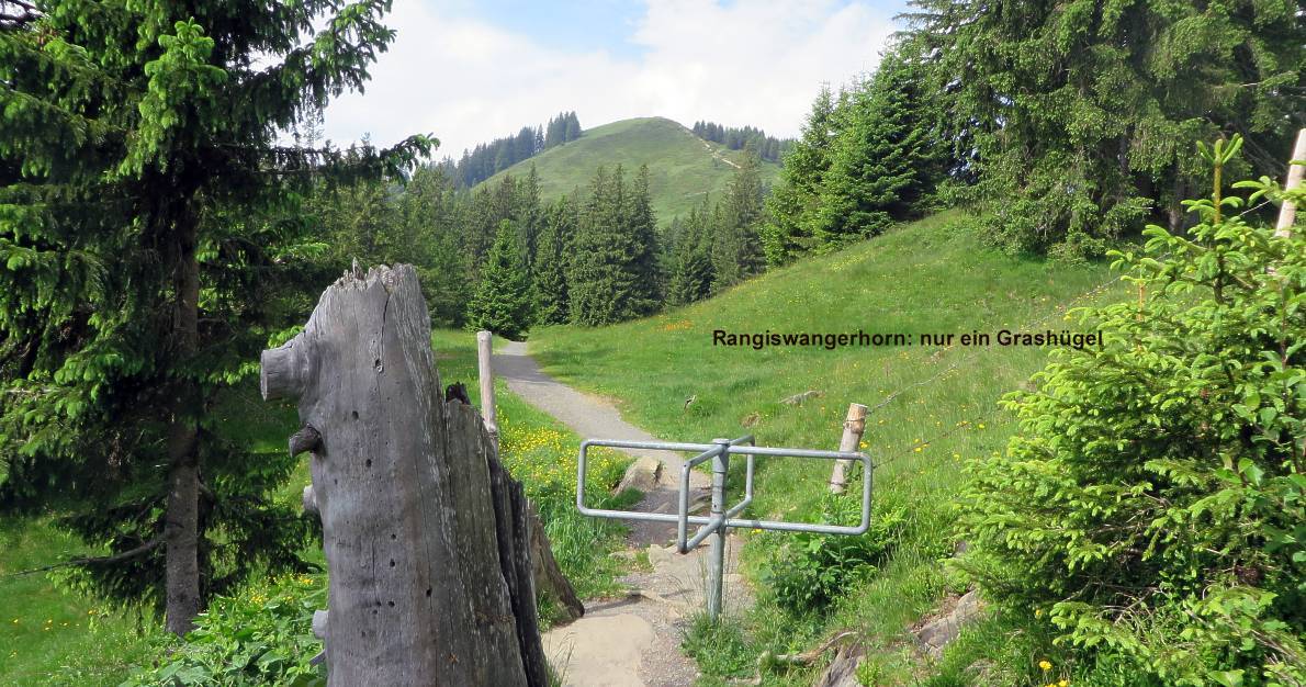 06 Rangiswangerhorn