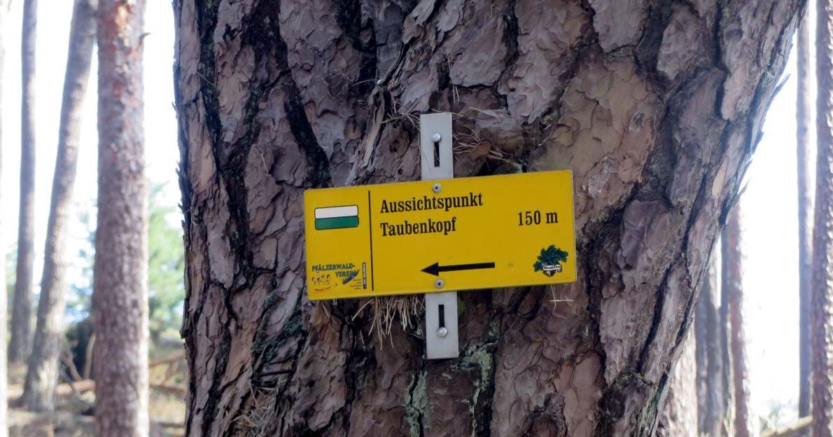 08 Wegweiser Taubenkopf