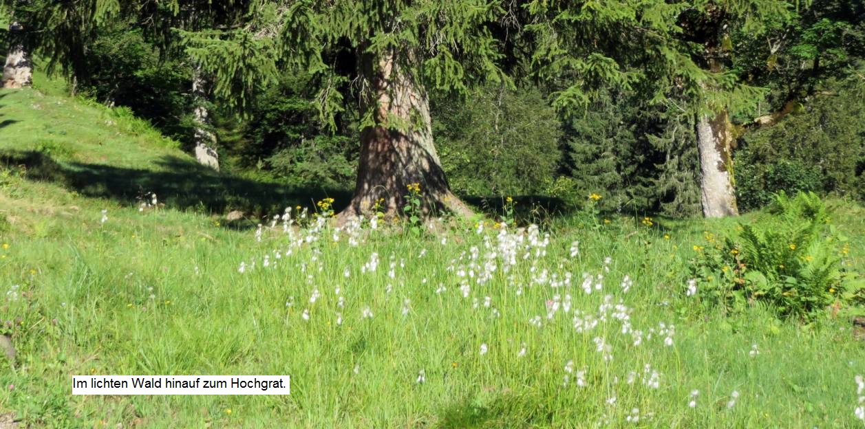 02 Hochgrat