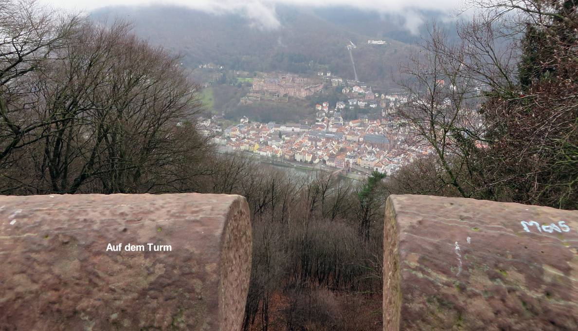 Blick vom Turm 1